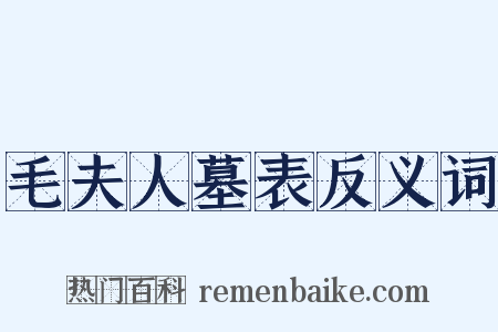 毛夫人墓表反义词是什么意思的图片
